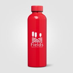 Gourde personnalisée Norden brillante monochrome étanche 680 ml RPET recyclé Express