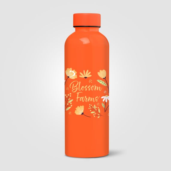 Gourde personnalisée Norden brillante monochrome étanche 680 ml RPET recyclé Express