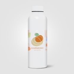 Gourde personnalisée Norden brillante monochrome étanche 680 ml RPET recyclé Express