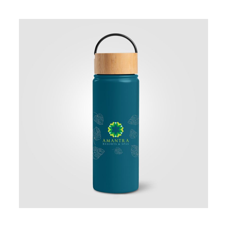 Bouteille personnalisée en acier inoxydable isotherme à double paroi 530 ml avec poignée