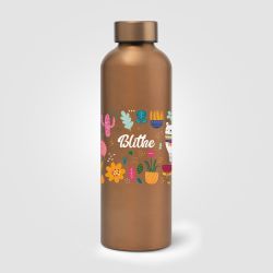 Gourde personnalisée en acier inoxydable recyclé finition métallisée 710 ml