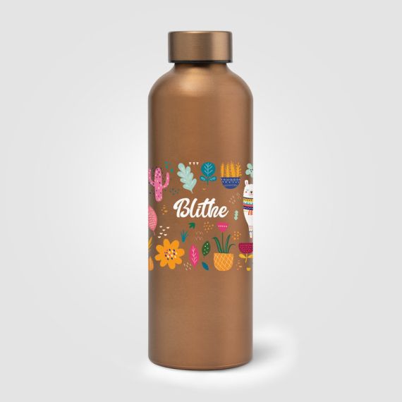 Gourde personnalisée en acier inoxydable recyclé finition métallisée 710 ml