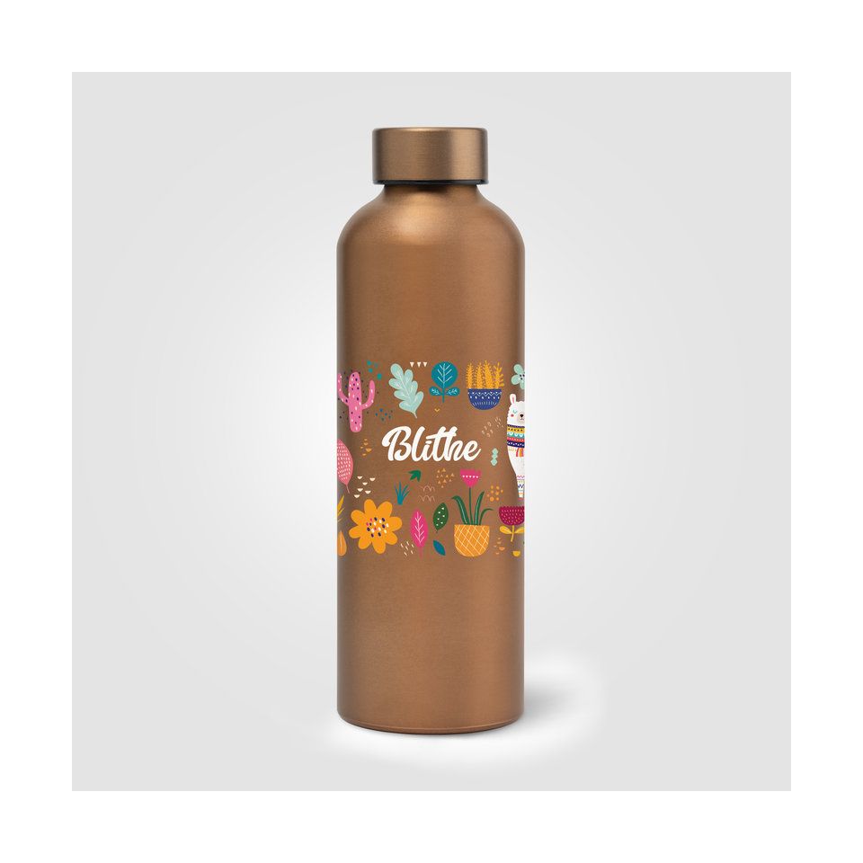 Gourde personnalisée en acier inoxydable recyclé finition métallisée 710 ml