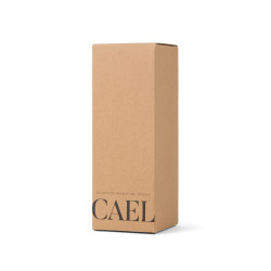 Bouteille Isotherme publicitaire 600ml Cael en acier RCS VINGA