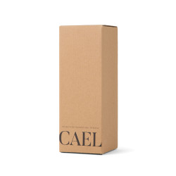 Bouteille Isotherme publicitaire 600ml Cael en acier RCS VINGA