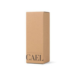 Bouteille Isotherme publicitaire 600ml Cael en acier RCS VINGA
