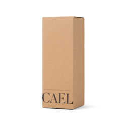 Bouteille Isotherme publicitaire 600ml Cael en acier RCS VINGA