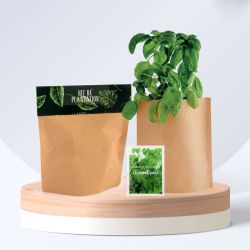 Pop-up publicitaire petit modèle