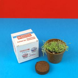 Kit publicitaire de plantation Ø6cm en boite ensemencée