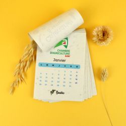 Calendrier publicitaire papier graines 13 pages