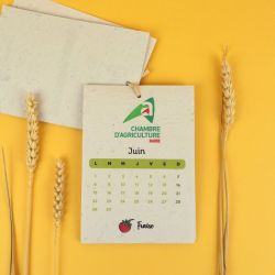 Calendrier publicitaire papier graines 13 pages