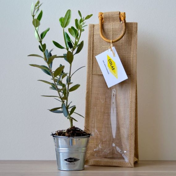 Plant publicitaire d'arbre sac jute