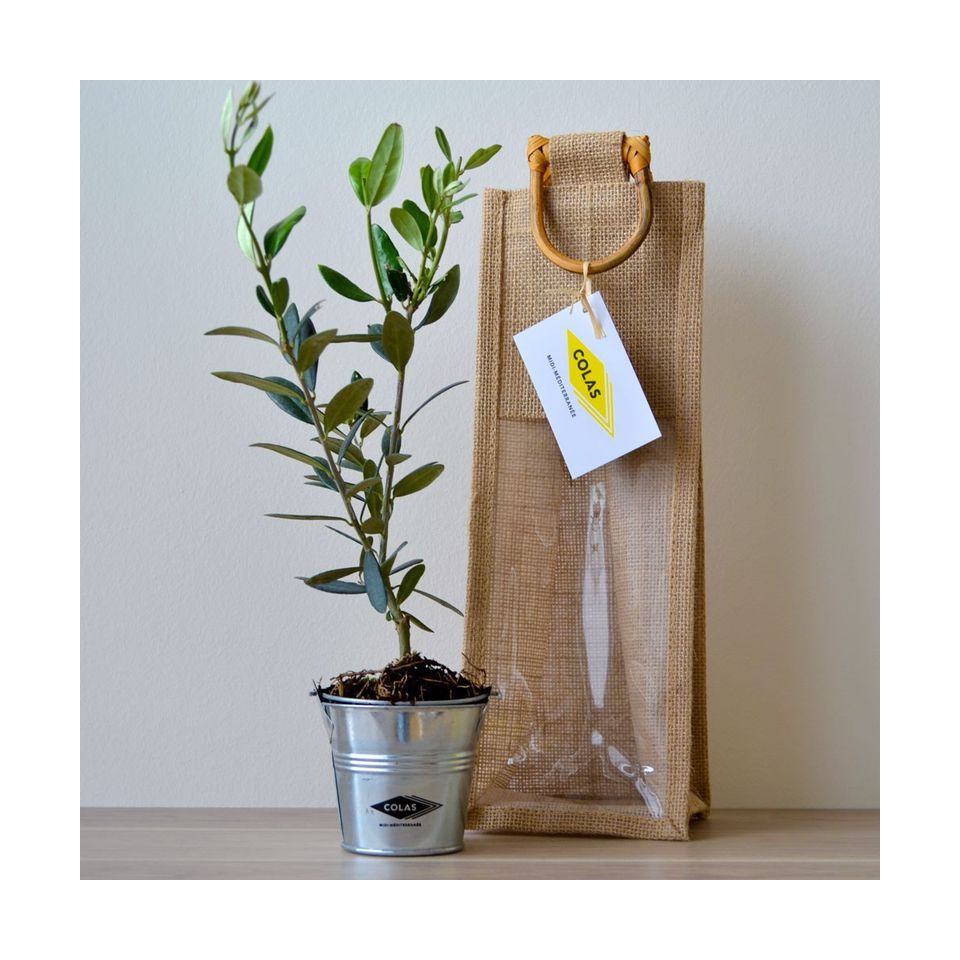 Plant publicitaire d'arbre sac jute