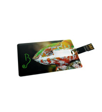 Clé USB publicitaire Express Card 3.0