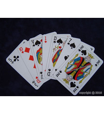 Jeu de Bridge personnalisable 54 cartes